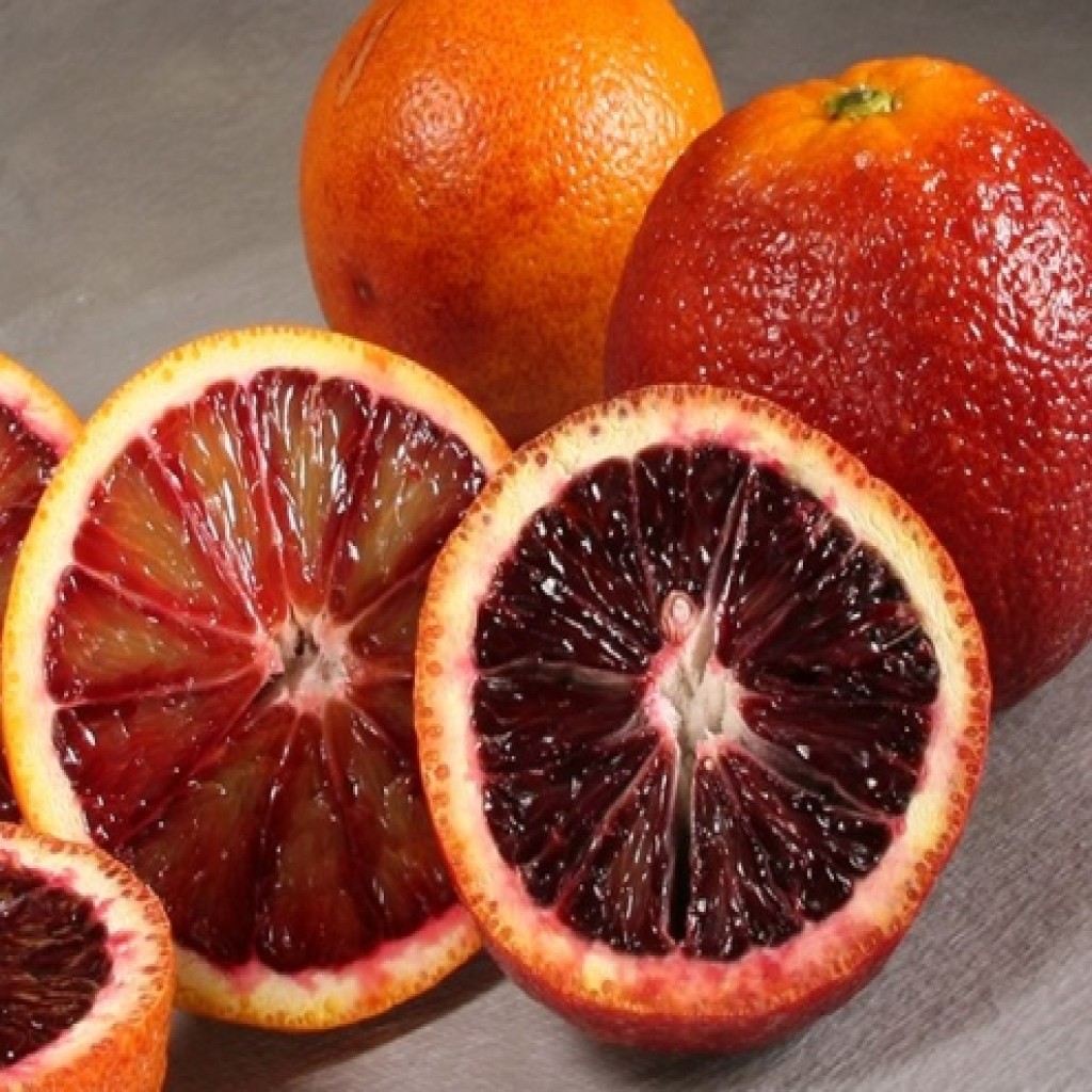  عکس پرتقال خونی واکسی